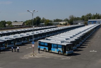 Flixbus BYD