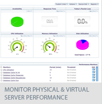 monitor physical and virtual server performance