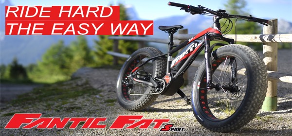 fantic e mountain bike