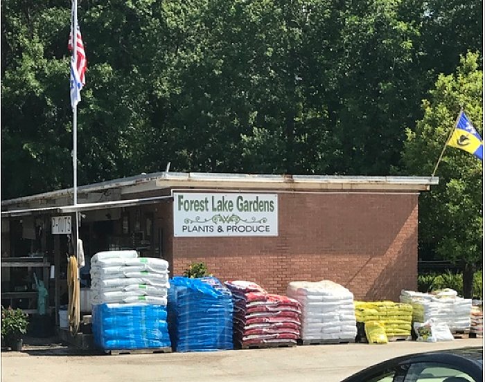 Forst Lake Gardens after 2015 Flooding