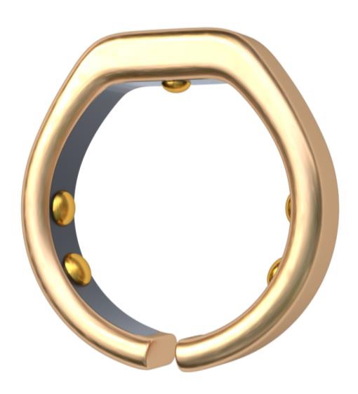 Project Diabetes ring