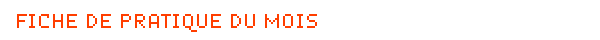 _ FICHE PRATIQUE DU MOIS