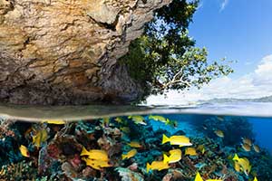 Raja                                                            Ampay Reefs