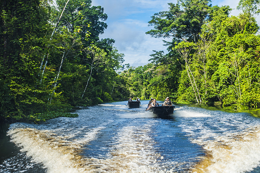 Aria Amazon river                                                            cruise
