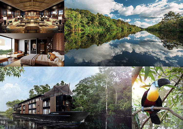 Amazon_collage