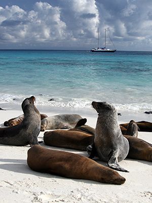 Galapagos Islands Family Vacation