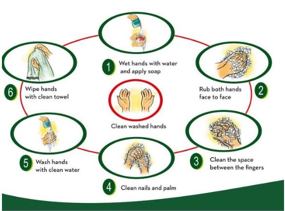 https://campaign-image.com/zohocampaigns/194670000013513014_zc_v39_handwashing_(2).jpg