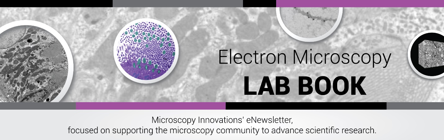 LAB BOOK Newsletter
