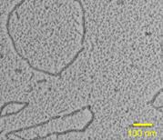 DNA-RecA