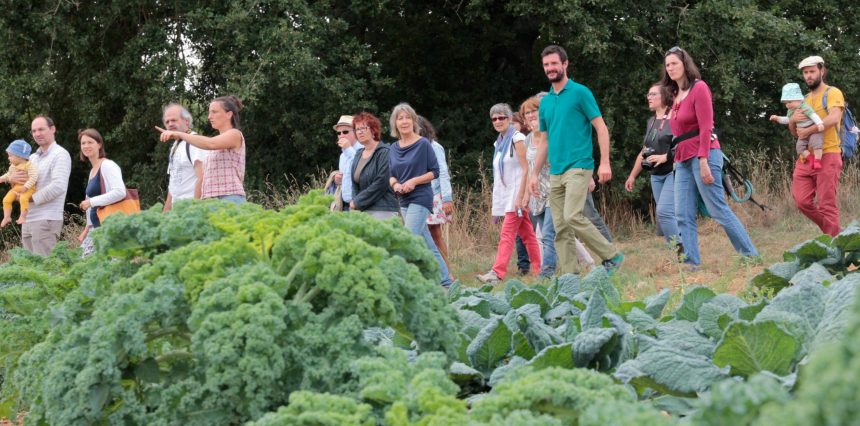 https://campaign-image.com/zohocampaigns/231356000011130004_zc_v64_tournant_energie_agriculture_cultivons_energie_citoyenne.jpg