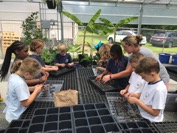 James B Edwards Elementary Greenhouse