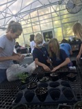 James B Edwards Elementary Greenhouse