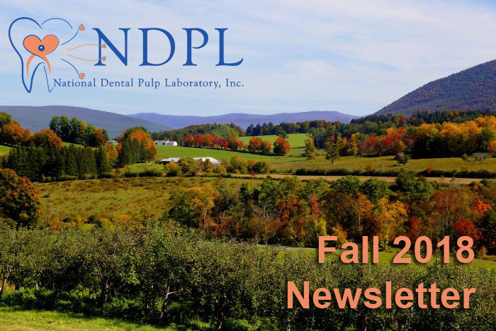 NDPL Fall 2018 Newsletter