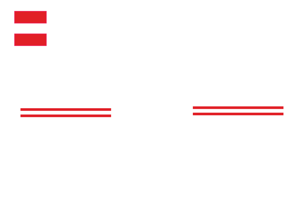 Equity Over Everything logo
