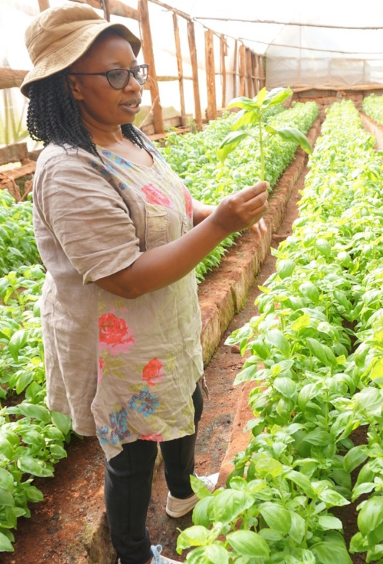 Solar E-Waste Management Site