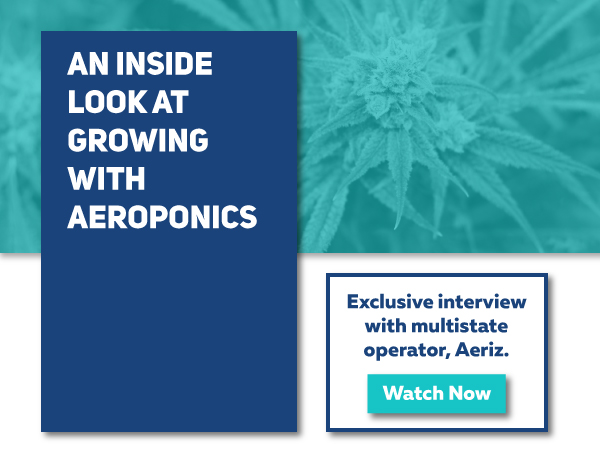 An Exclusive Look at Growing With Aeroponics