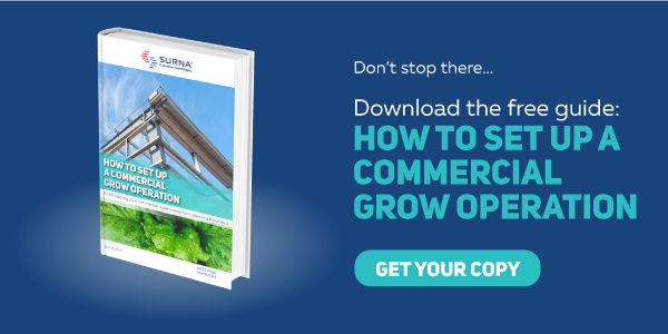 Download the free guide