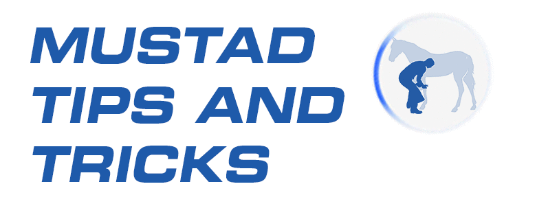 https://campaign-image.com/zohocampaigns/348257000007103004_zc_v167_m_tipstricks.gif