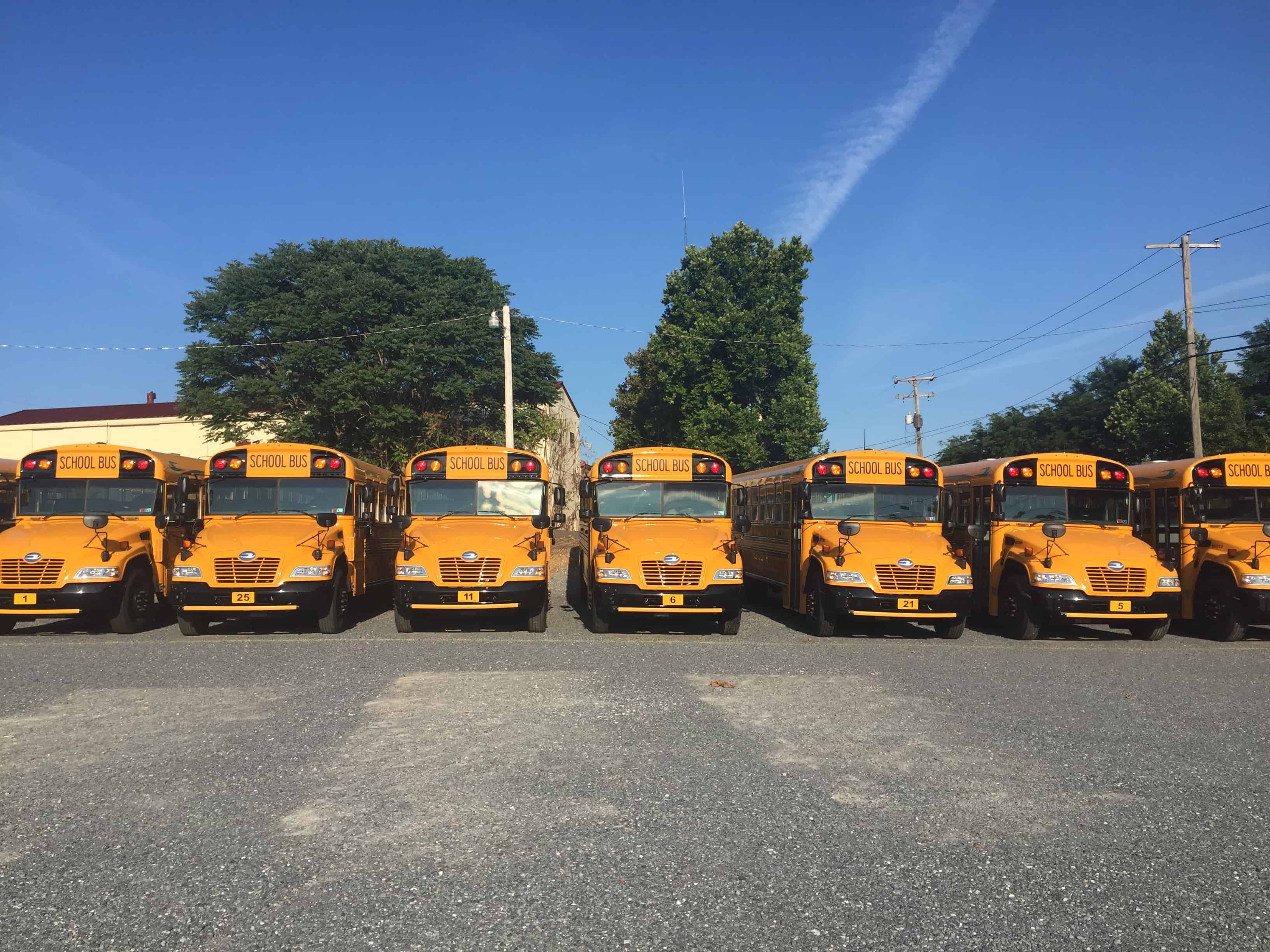 A line of buses in a school bus lot.