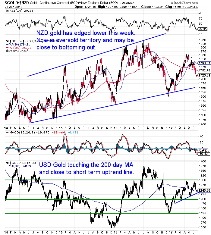 NZ Dollar Gold Chart