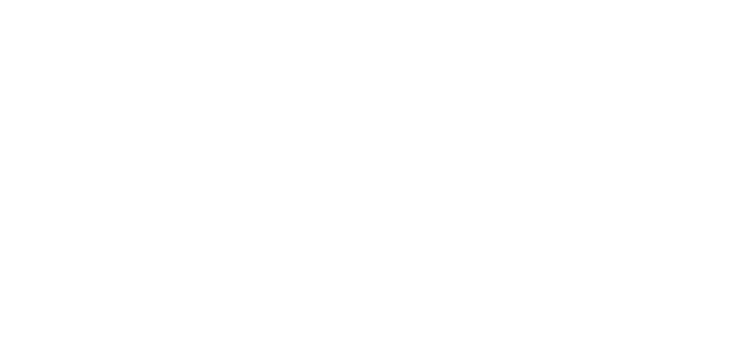 Practical Systems Logo