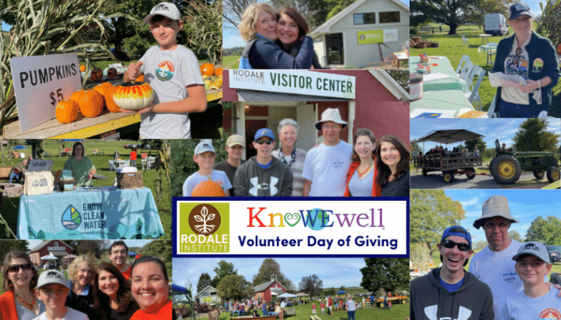 KnoWEwell Volunteer Day of Giving