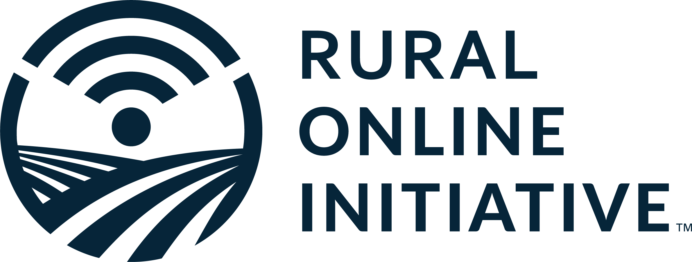 ROI logo blue TM