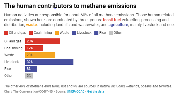 /campaigns/org674985205/sitesapi/files/images/677162589/human_caused_methane_by_source.png