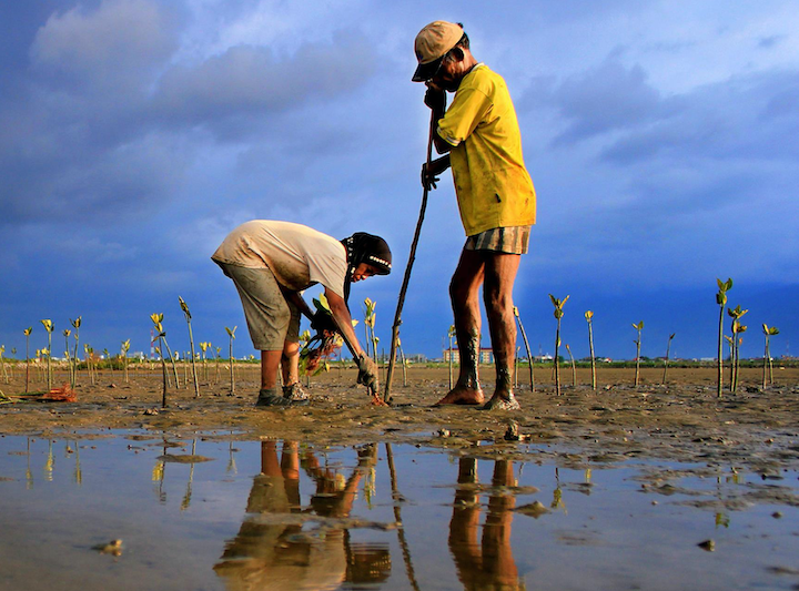 /campaigns/org674985205/sitesapi/files/images/677162589/World_Rivers_Day_seminars.png