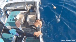 Fishing Vessel Monitoring