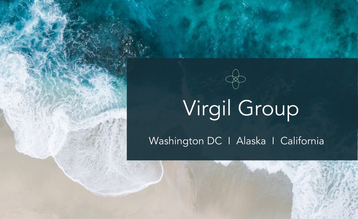 Virgil Group Image