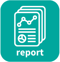 icon: report