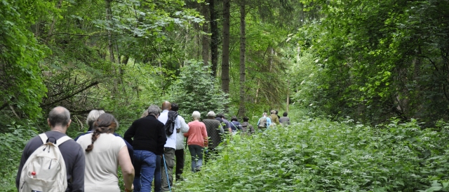 Op wandel met Fourneau de Monia, in beeld gebracht door Paul Spolspoel