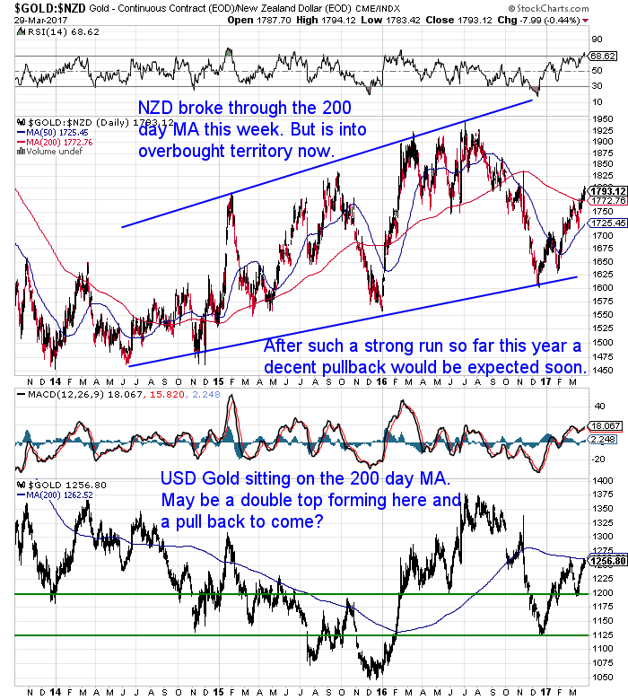 NZ Dollar Gold Chart