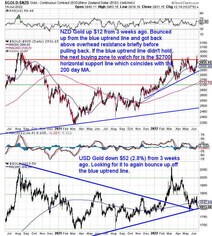 NZ Dollar Gold Chart