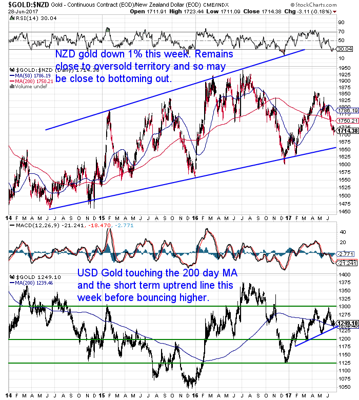 NZ Dollar Gold Chart