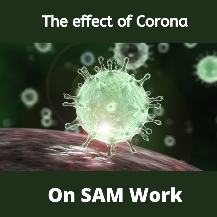 The effect of Corona:
