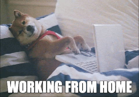 https://campaign-image.com/zohocampaigns/594678000004713004_1_1628526032367_work-from-home.gif