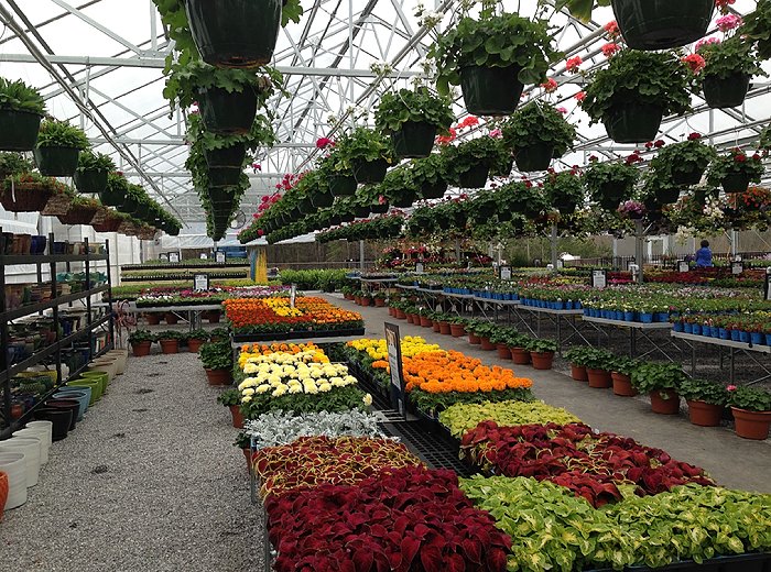 Appalachian Greenhouse Interior