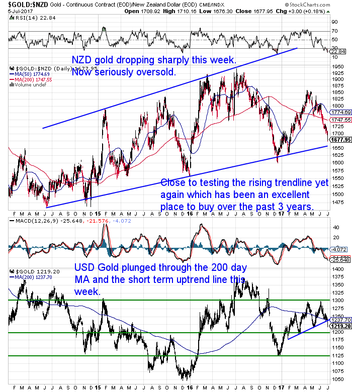 NZ Dollar Gold Chart