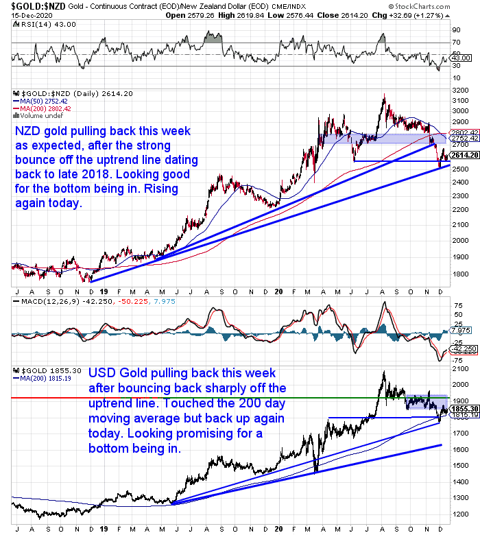 NZ Dollar Gold Chart