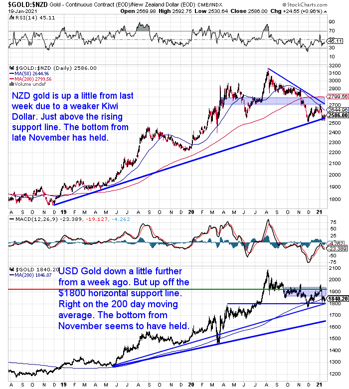 NZ Dollar Gold Chart