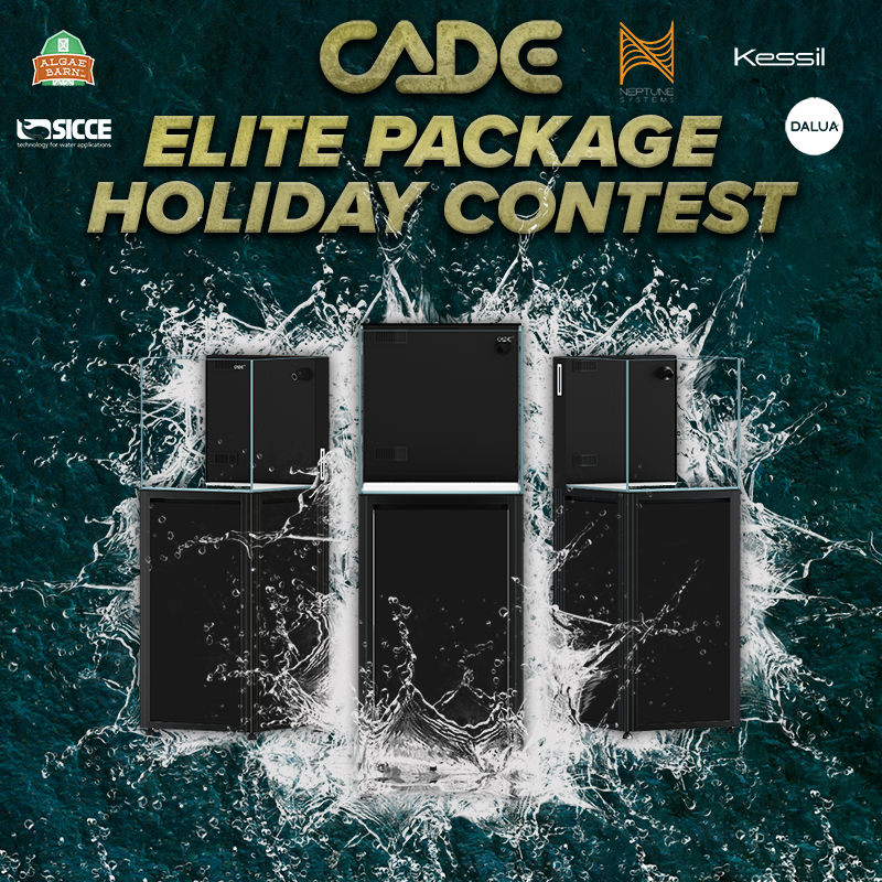 CADE K ELITE PACKAGE HOLIDAY CONTEST 