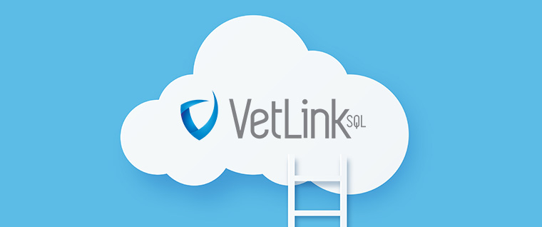 VetLinkSQL Cloud