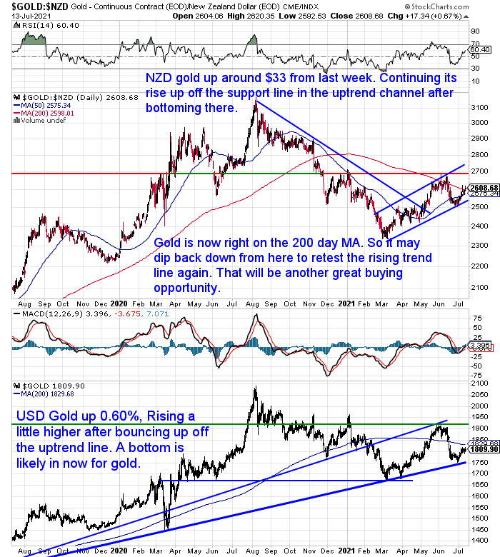 NZ Dollar Gold Chart