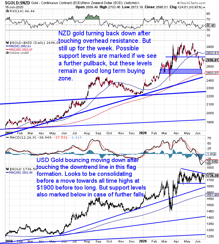 NZ Dollar Gold Chart