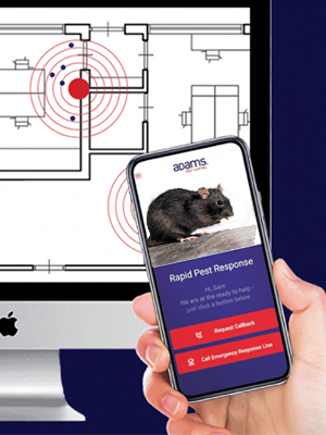 Adams Pest Control, Cre8tec and Thinxtra Create the Future of Pest Control Saving Time and Money with IoT-enabled 24×7 Digital Rodent Management Solution Running on Thinxtra’s 0G Network
