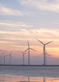 https://campaign-image.com/zohocampaigns/713059000011405008_zc_v16_1653976461051_net_zero.jpg