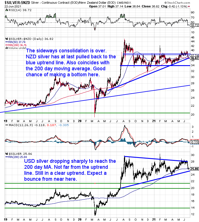 NZ Dollar Silver Chart