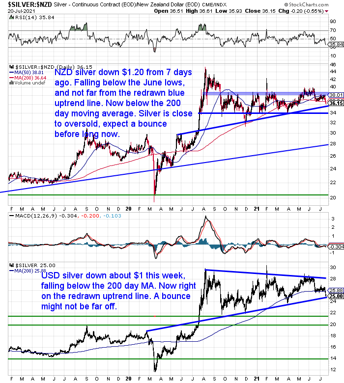 NZ Dollar Silver Chart